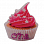 Oneball TRACTION - CUPCAKE 4.5x4 ASSORTED Oneball TRACTION - CUPCAKE 4.5x4 ASSORTED