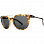 Electric BENGAL SMOKEY WIRE MSPTT TORTBLACK/MG Electric BENGAL SMOKEY WIRE MSPTT TORTBLACK/MG