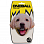 Oneball TRACTION-LAB5X5 ASSORTED Oneball TRACTION-LAB5X5 ASSORTED