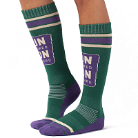 EIVY League Wool Socks Green & Purple
