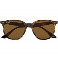 Ray Ban 0rb4306 HAVANA/POLAR BROWN