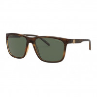 Arnette Adios Baby HAVANA/POLAR GREEN