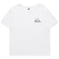 Quiksilver Standardsstee W Tees White