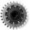 BOA H2/h2 Coiler Spool ASSORTED