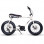 Ruff Cycles Lil'buddy 500wh Perlweib