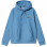 Carhartt WIP Hooded American Script Sweatshirt PISCINE