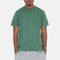 Stussy Pigment Dyed Crew PINE