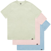 Dickies MC T-SHITS PACK ASHLEY BLUE