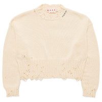 MARNI Cropped Crewneck Sweater STONE WHITE