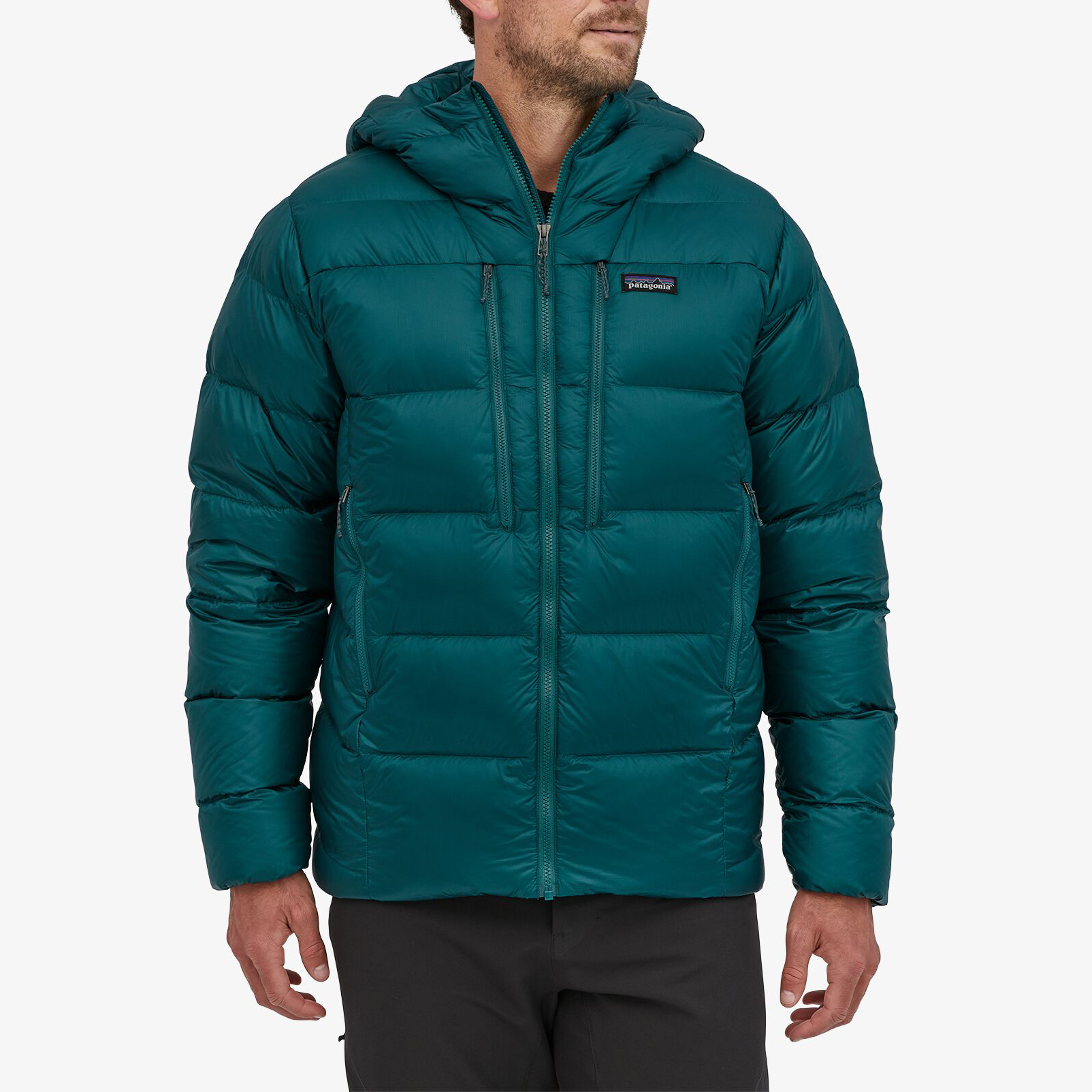 patagonia m's fitz roy down hoody